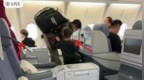 网友乘机偶遇撒贝宁，一人带俩娃拿四大包行李，纯素颜露面显憔悴
