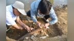 十大考古新发现探秘之一|泄洪后，这里发现一件距今10万年的“象牙铲”