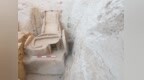 这里发现中国最早双辕车，距今3000多年！