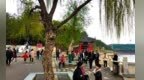 丹江大观苑：人间最美四月天，不负春光与时行！
