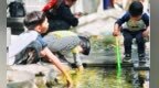 春日升温 趵突泉公园迎来戏水的小朋友