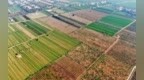 陕西印发耕地质量等级变更调查评价工作方案