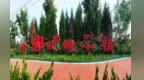 厚植“美丽经济” 平阴县玫瑰镇开出“幸福花”