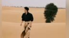 陈哲远迪拜奇幻之旅，沙漠自由感大片