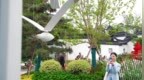 双城相拥 倾国青成!青岛园亮相2024年成都世界园艺博览会