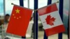 加拿大发布“外国干涉”初步调查报告，中国驻加使馆回应
