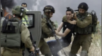 美媒：美国不会制裁被控“严重侵犯人权”的以色列部队