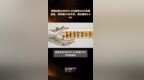 索辰科技(688507.SH)发布2023年度业绩，净利润<em>5748</em>万元，同比增长6.89% |快报