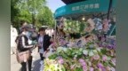 “超然花开市集”打造泉城旅游新场景