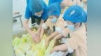 肥东县经开区幼教集团总园开展劳动节主题系列活动
