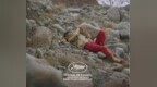 李蔚然作品《在水一方》入围第77届戛纳国际电影节短片竞赛单元