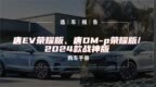 选车报告丨唐EV荣耀<em>版</em>、唐DM-p荣耀<em>版</em>/2024款战神<em>版</em>购车手册