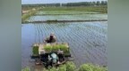 玉米已播计划面积的81.4%！哈尔滨市旱田播种全面展开