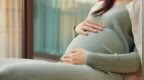 精子库不对未婚女性开放？“不想结婚，想生宝宝”，专家解读：只对合法夫妻开展【附辅助生殖行业市场规模预测】