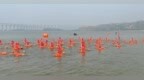 2024中国·三门峡横渡母亲河活动启动 5000“泳士”畅游黄河