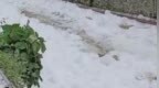 贵州罗甸一河道内现大量白色泡沫 ，当地环保局：未发现有害物质