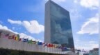 联合国20多名专家呼吁所有国家承认巴勒斯坦国