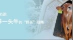 放大长处，认养一头牛发挥A2型牛奶优势走差异化之路