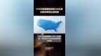 <em>FTX</em>与美国国税局就240亿美元税务索赔达成和解 |快报