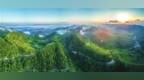 梁平林业经济发展新路径的实践探索：深耕林长制 做活绿文章