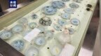 文物+<em>928</em>件套！南海水下1500米明代沉船范围已探明