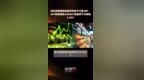 超长期限国债收益率多数下行至2BP，<em>30Y</em>特别国债2400001收益率下行突破2.50% |快报