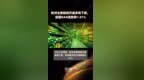 欧洲主要股指开盘多数下跌，德国<em>DAX</em>指数跌1.01% |快报