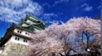 外媒：日元贬值让更多美国游客前往日本