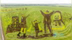 快看！闫家岗农场的巨幅“稻田画”上新啦