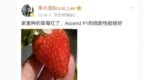 跨越12年的对比！李小龙晒华为<em>P1</em>、Pura 70 Ultra微距照片：变显微镜了
