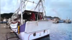 福建海警依法扣押台湾省籍违法渔船，郑丽文：为了保护渔场