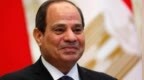 埃及总统与叙利亚总统通电话，重申支持“两国方案”