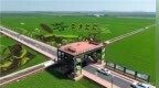 巴彦：2000亩巨幅稻田画构筑观光农业“会客厅”
