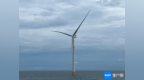 风机实现海南造海南用！首台在儋州海上风电项目完成吊装