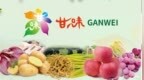 石谋军：“甘味”品牌引领　带动现代农业发展