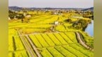 国家发展改革委安排6000万元支持重庆3区农村人居环境整治提升