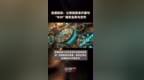 浪潮信息：公司目前未开展与“<em>B20</em>”相关业务与合作 |快报