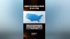 美国至7月26日当周<em>API</em>原油库存-449.5万桶 |快报
