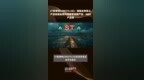 ST易事特(300376.SZ)：储能业务核心产品包括全系列储能变流器产品、<em>BMS</em>产品等 |快报