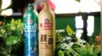 欢聚永不落幕 快乐一起<em>Drink</em>！青岛啤酒节的快乐持续新鲜相伴