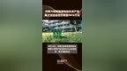 河南力帆新能源电动车资产包再次流拍起拍价降至<em>7916</em>万元 |快报