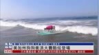 美国加州狗狗冲浪<em>大赛</em>酷<em>炫</em>登场