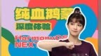 这就发布！HarmonyOS NEXT到底怎么样？纯血鸿蒙真能成？