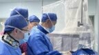 西南首例！采用Netrod系统的<em>RDN</em>手术在云南成功实施