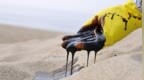中东石油产量迎来复苏 沙特经济增速料在2025年“狂飙”