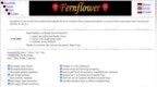 影响无数程序员：Java反编译器Fernflower作者Stiver逝世