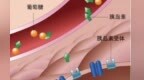 饭后总犯困可能是它在作怪　甘肃人快码住这份健康提示