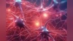 研究：解密细胞间通讯新利器，揭示复杂的生物过程