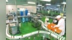 振东健康产业集团：自动化生产设备有序运转 满足群众用药需求
