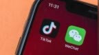 马来西亚启动社交平台运营执照制度，Wechat、TikTok获许可